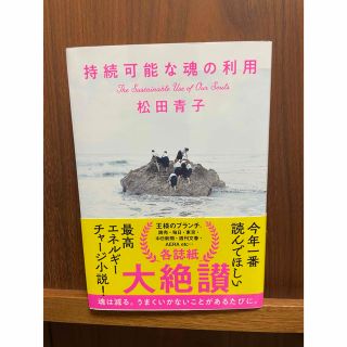 持続可能な魂の利用(文学/小説)