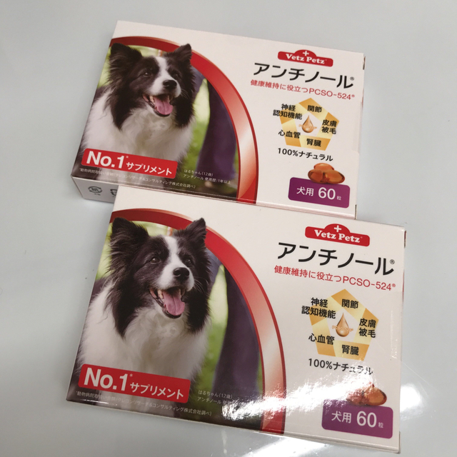 犬用アンチノール60粒入動物病院人気NO1サプリメント被毛皮膚関節高齢
