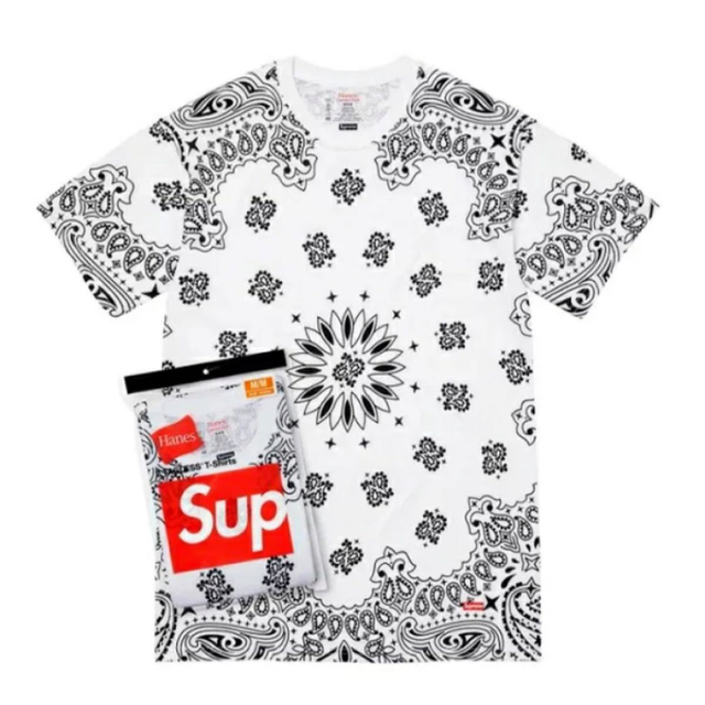 SUPREME Hanes Tシャツ ペイズリー XL | kensysgas.com