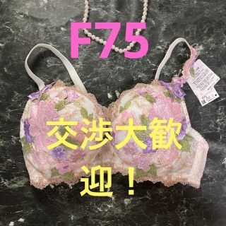 サルート　59  F75 店舗限定 フォークロア　IV(ブラ)