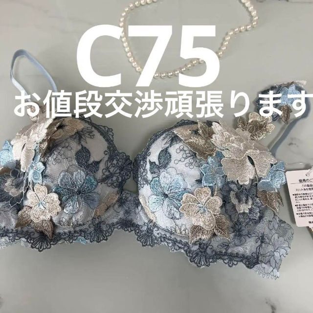 サルート 59G フォークロア　ブラ C75 \u0026 ショーツM SX　☆店舗限定☆ブラのカップサイズC