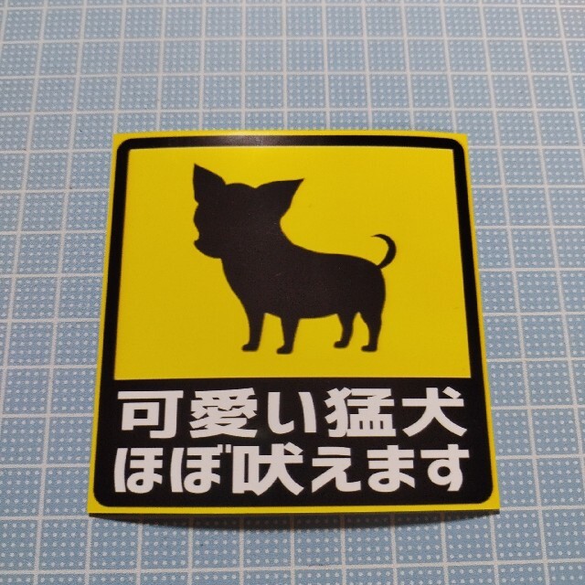 あなたの犬はなまりで吠えます、そして彼があなたに隠しているその他の7つの秘密