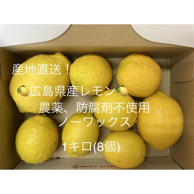 SALE/91%OFF】 ㉕高知特産 お買い得 土佐文旦 文旦 露地栽培 4L~3L約