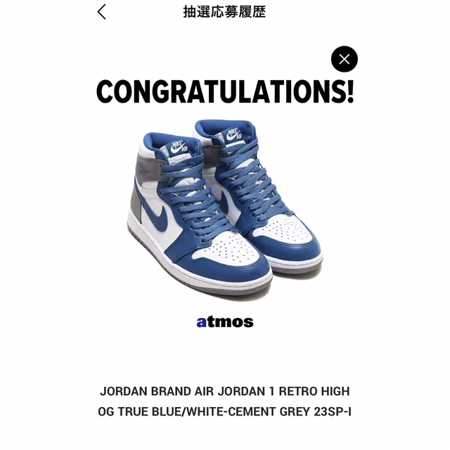 Nike Jordan1   Ture Blue 29cm  ナイキ　ジョーダン29cm