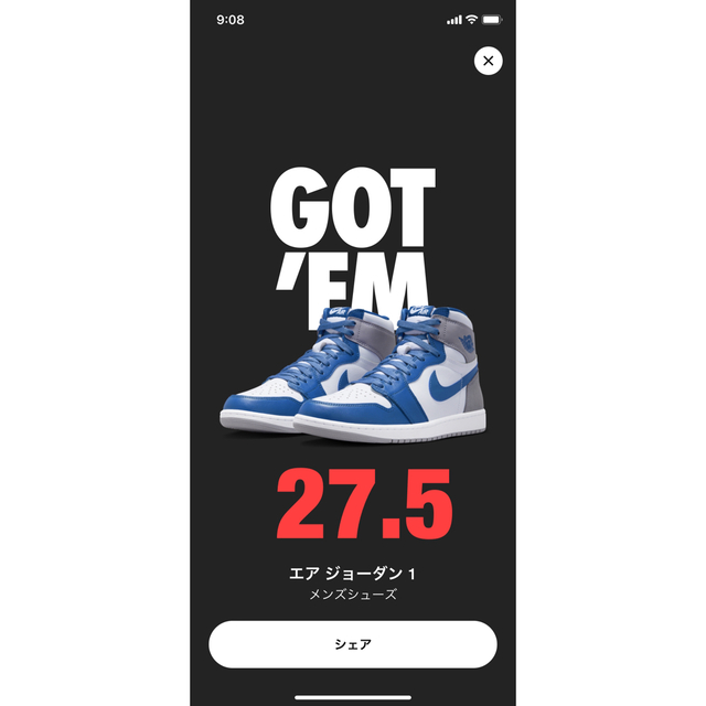 Nike Air Jordan 1 High OG True Blue 27.5のサムネイル