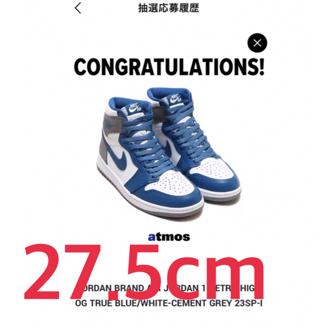 Nike Jordan1   Ture Blue  27.5cm