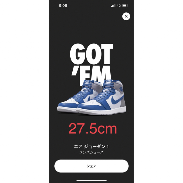 27.5センチ　Air jordan1 true blue エアジョーダン1