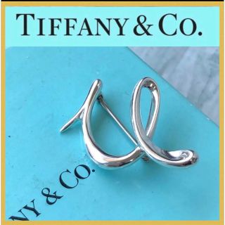 ティファニー(Tiffany & Co.)の希少　新品仕上げ　Tiffanyティファニーブローチ　SV925(ブローチ/コサージュ)