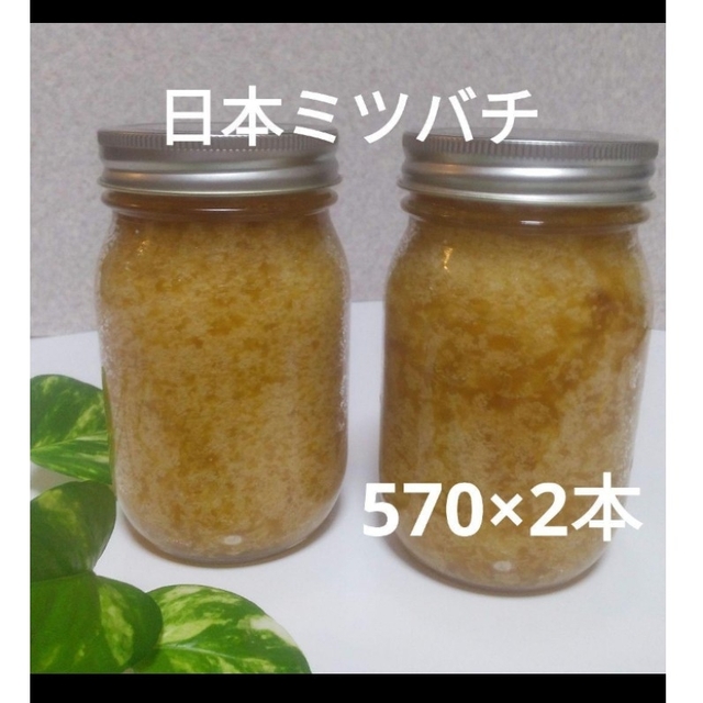 日本ミツバチの蜂蜜  (570×2本)はちみつ