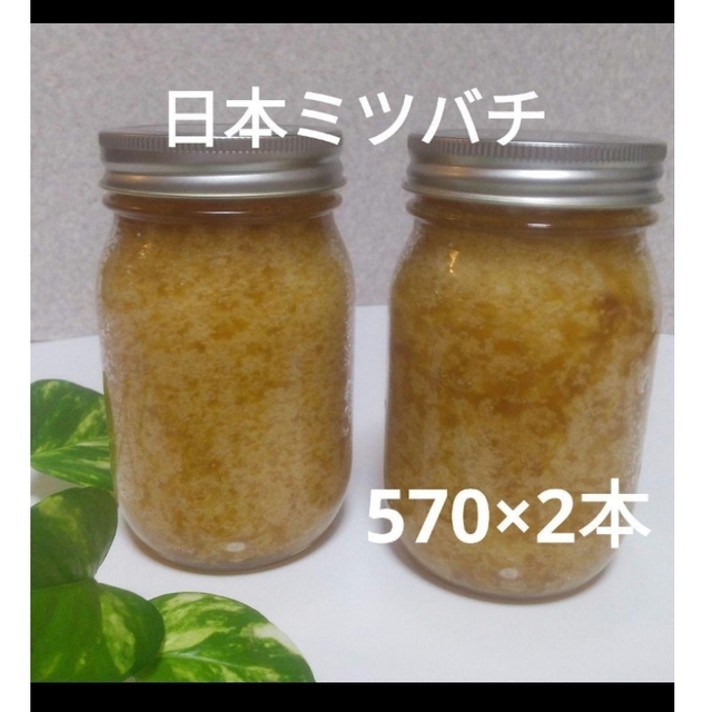日本ミツバチの蜂蜜  (570×2本) 食品/飲料/酒の食品(その他)の商品写真
