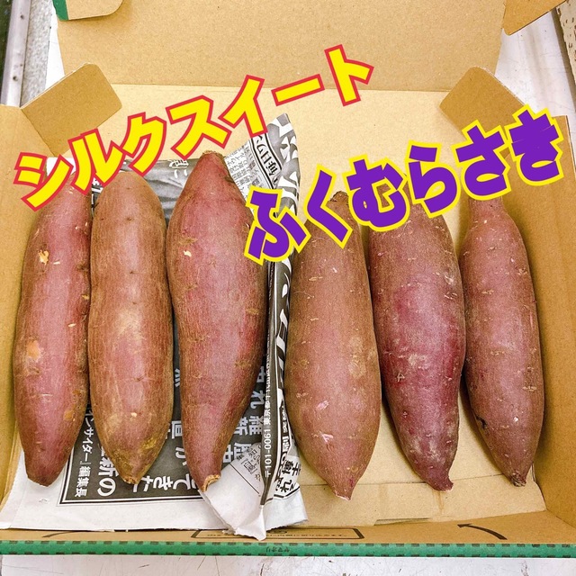 ☆食べ比べ☆ 茨城県産ふくむらさきと 茨城県産 シルクスイート セット 食品/飲料/酒の食品(野菜)の商品写真