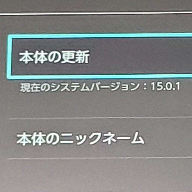 ニンテンドー スイッチライト グレー 充電スタンド付き