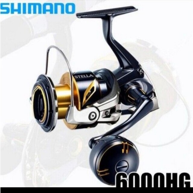 シマノ20  ステラSW 6000HG (2020年追加モデル)