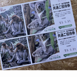 ズーラシア　金沢動物園　共通ご招待券　チケット(動物園)