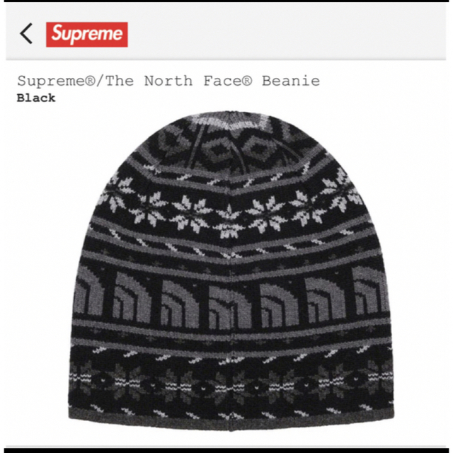 Supreme /The North Face Beanie
