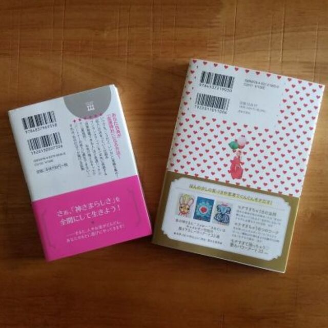 キャメレオン竹田・2冊セット【神さまとお金とわたし・モテすぎちゃう本】 エンタメ/ホビーの本(アート/エンタメ)の商品写真