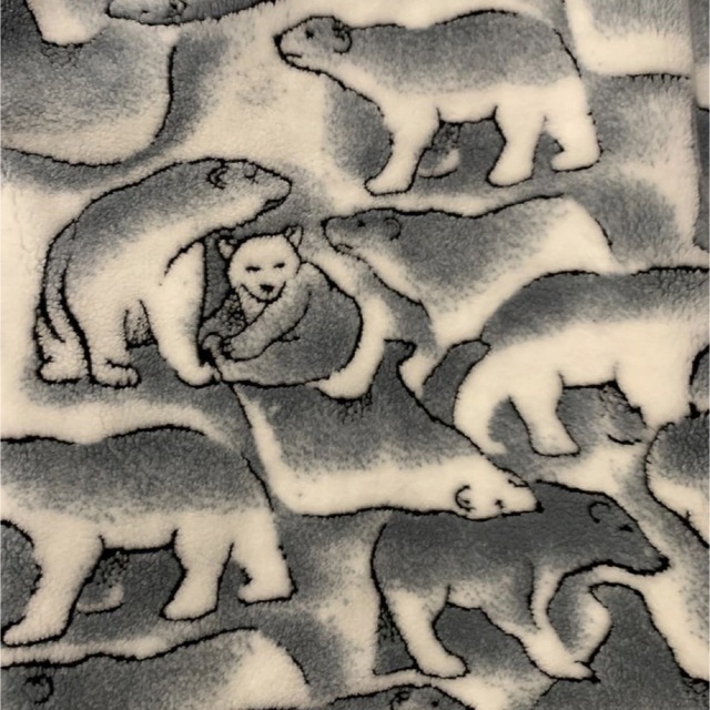 シロクマのフリースジャケット アメリカ古着 アニマルの通販 by kiki