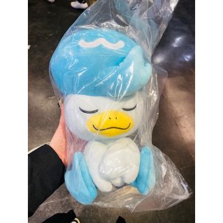 ポケモン(ポケモン)の2023年初夢ぬいぐるみクワッス新品(ぬいぐるみ)