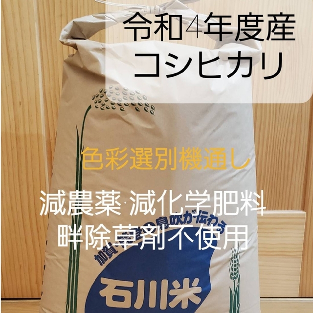 コシヒカリ　新米　玄米　令和４年度　米/穀物　石川県産　２０キロ