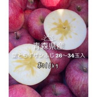 青森県産 葉とらずサンふじ 訳あり品 10kg(フルーツ)