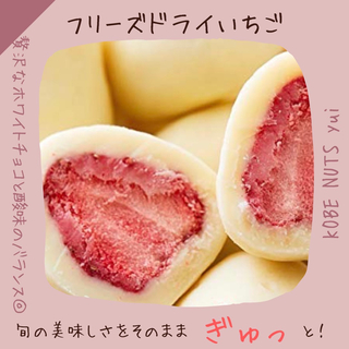 イチゴ　チョコレート　フリーズドライ(菓子/デザート)