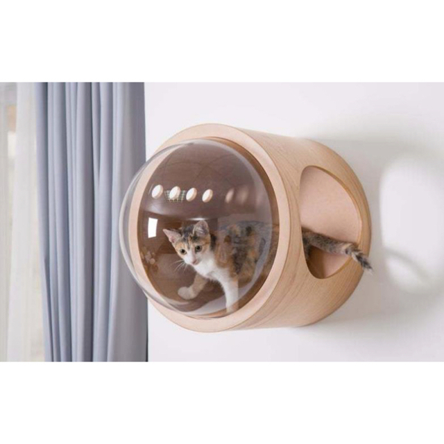 猫 キャットウォーク キャットステップ ベッド ハウス 壁付け 天然木 宇宙 その他のペット用品(猫)の商品写真