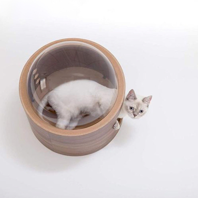 猫 キャットウォーク キャットステップ ベッド ハウス 壁付け 天然木 宇宙 その他のペット用品(猫)の商品写真