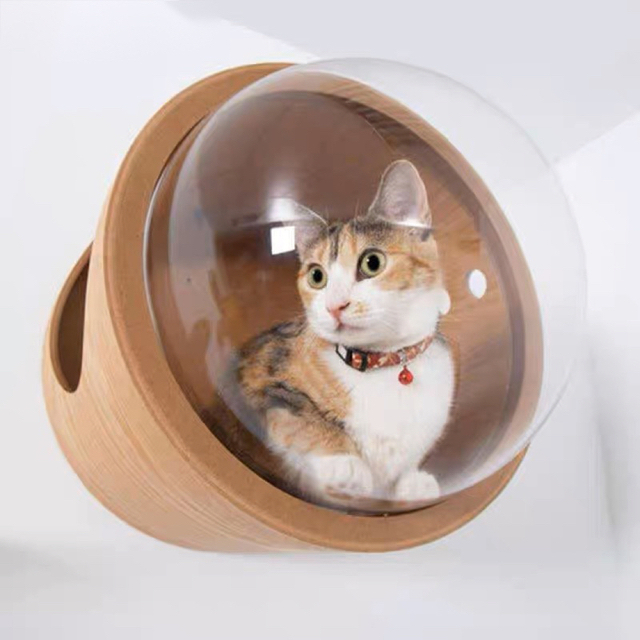 猫 キャットウォーク キャットステップ ベッド ハウス 壁付け 天然木 宇宙 その他のペット用品(猫)の商品写真