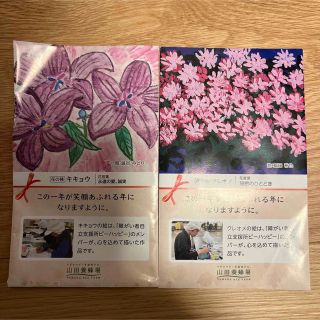 キキョウ　クレオメ　花の種　2種類(その他)