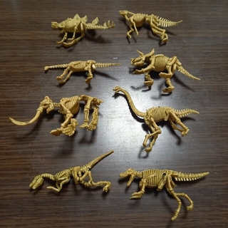 恐竜　化石　フィギュア　８体(その他)
