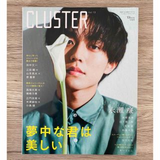 ＣＬＵＳＴＥＲ Ｖｏｌ．１３(アート/エンタメ)