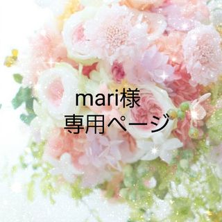 mari様専用ページの通販 by ちょこ's shop|ラクマ