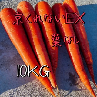 本日収穫 高リコピン 京くれないEX フルーツ人参 サイズ不選別 10kg(野菜)
