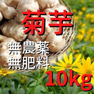 1/17(火)発送！菊芋10kg！(野菜)