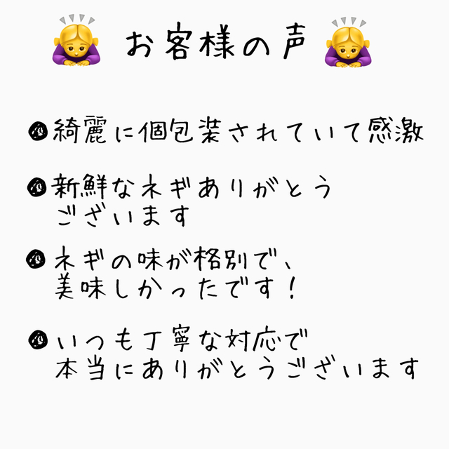 野菜　九条ネギ　ネコポス　栽培期間中農薬不使用（　無農薬　） 食品/飲料/酒の食品(野菜)の商品写真