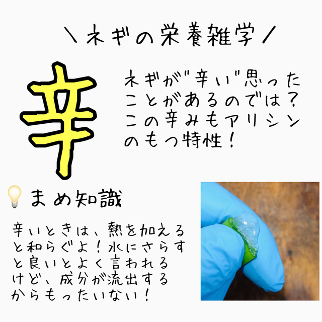 野菜　九条ネギ　ネコポス　栽培期間中農薬不使用（　無農薬　） 食品/飲料/酒の食品(野菜)の商品写真