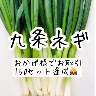 野菜　九条ネギ　ネコポス　栽培期間中農薬不使用（　無農薬　）(野菜)