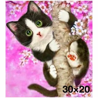 可愛い猫chan様専用商品-