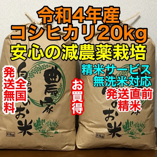 新米コシヒカリ20kg茨城産◉無洗米対応