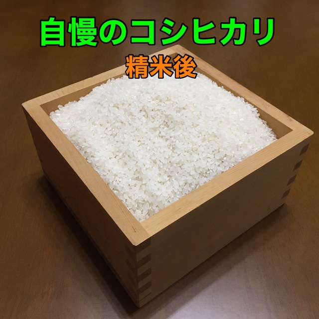 新米コシヒカリ20kg茨城県産◉玄米