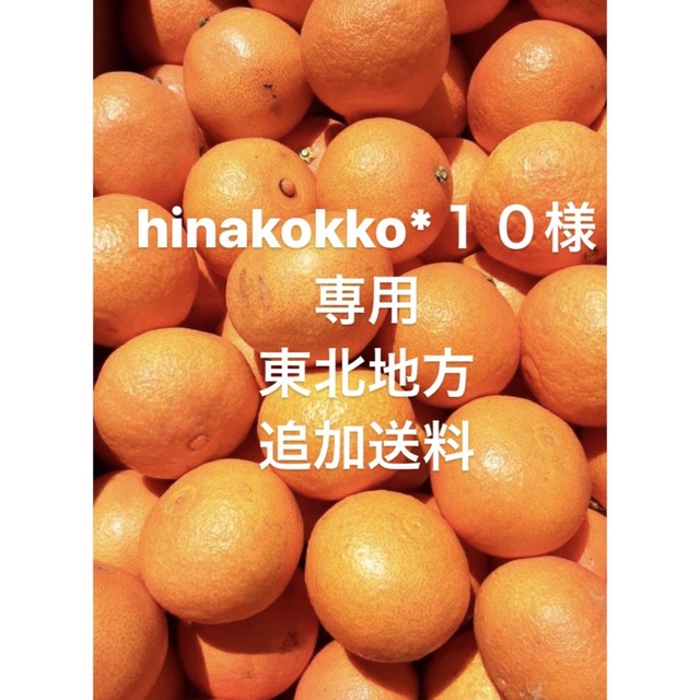 hinakokko*１０様　専用　東北地方　追加送料 食品/飲料/酒の食品(フルーツ)の商品写真