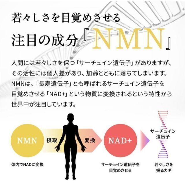 期間限定価格 数量限定 新品 NMN サプリ 3ヶ月 シードコムス 7