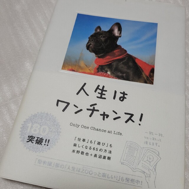 人生はワンチャンス！ 「仕事」も「遊び」も楽しくなる６５の方法 エンタメ/ホビーの本(その他)の商品写真