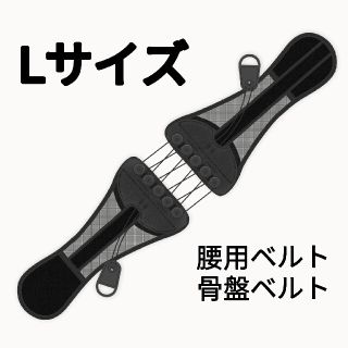 Lサイズ　腰痛ベルト  立ち仕事   トレーニングベルト　腰痛対策　予防(トレーニング用品)