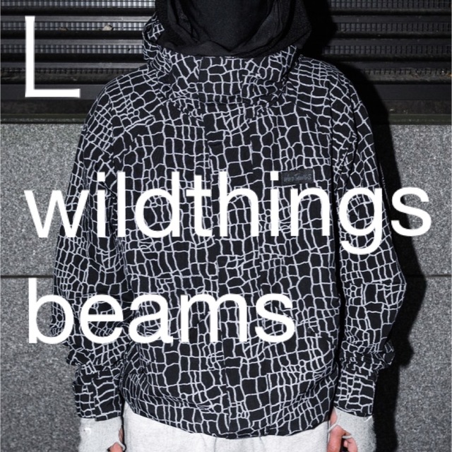 WILDTHINGS(ワイルドシングス)の【現物有り】wildthings beams スパイダー マウンテンパーカー メンズのジャケット/アウター(ナイロンジャケット)の商品写真