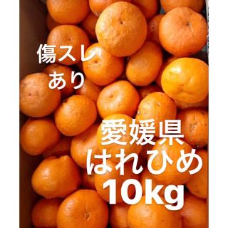 愛媛県産　はれひめ　柑橘　10kg(フルーツ)