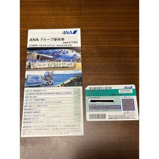 エーエヌエー(ゼンニッポンクウユ)(ANA(全日本空輸))のANA株主優待券（1枚）(その他)