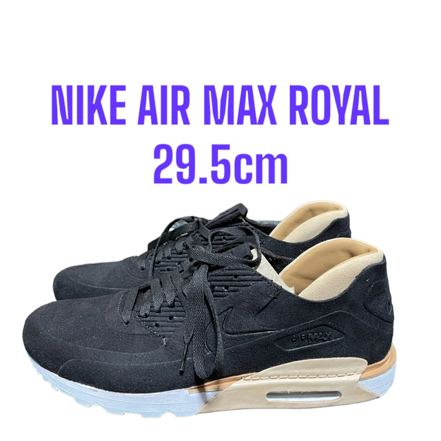 nike airmax royal ナイキ エアマックス 29.5cm