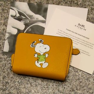 縁起のいい黄色　【最新作】　COACH　スヌーピー　財布