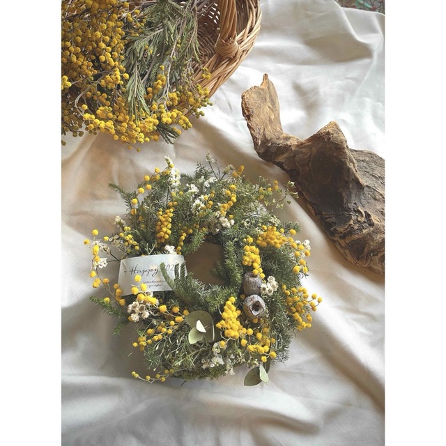 mimosa  wreathe〜ミモザミランドールのコロンとしたリース  ハンドメイドのフラワー/ガーデン(リース)の商品写真